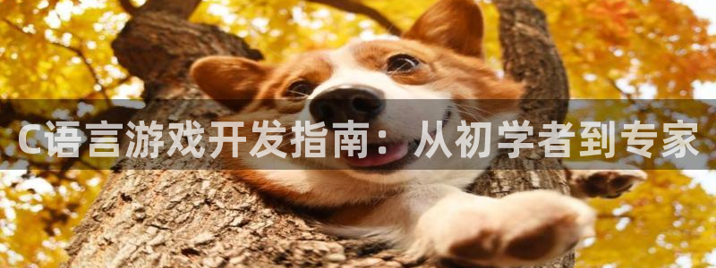 沐鸣娱乐2的分分彩