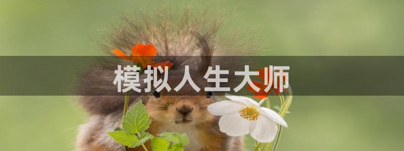沐鸣娱乐2手机版