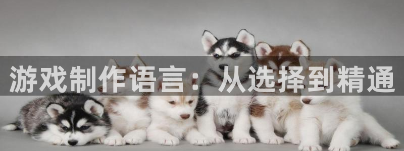 沐鸣2测速登录