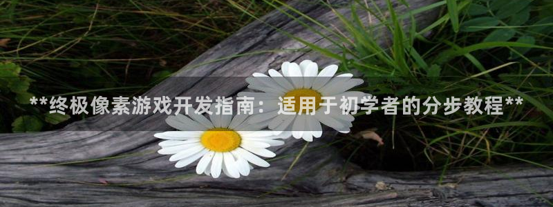 沐鸣2平台主管代理
