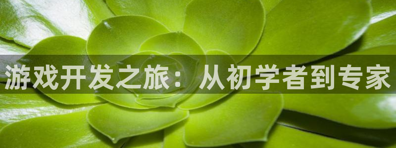 沐鸣2娱乐平台注册