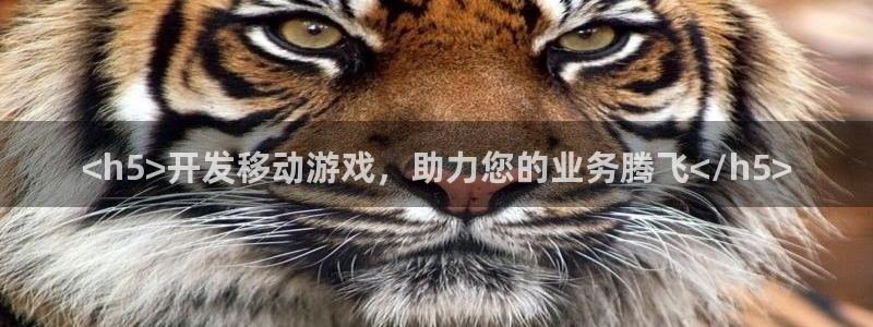 沐鸣2娱乐注册平台