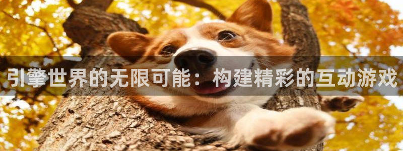 沐鸣娱乐2官方网站注册链接：引擎世界的无限可能：构建精彩的互动游戏