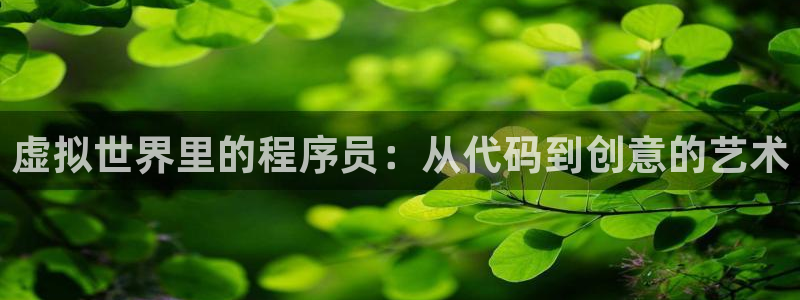 沐鸣娱乐2登录平台官网网址：虚拟世界里的程序员：从代码到创意的艺术