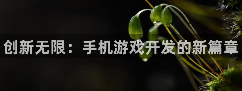 沐鸣2娱乐注册平台：创新无限：手机游戏开发的新篇章