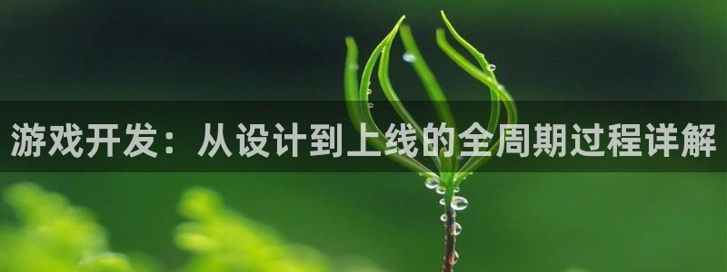 沐鸣2手机网页版：游戏开发：从设计到上线的全周期过程详解