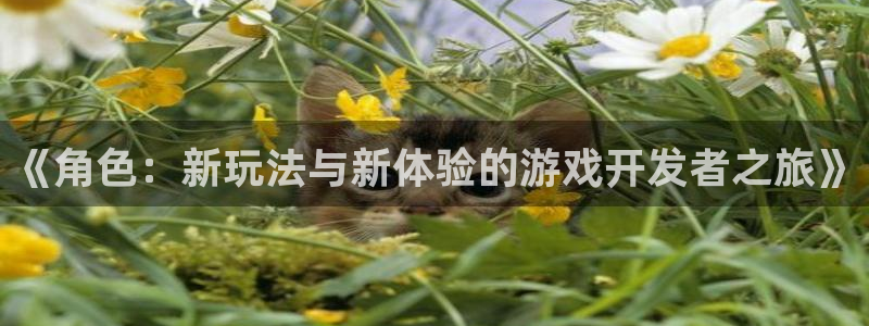沐鸣2平台代理注册：《角色：新玩法与新体验的游戏开发者之旅》