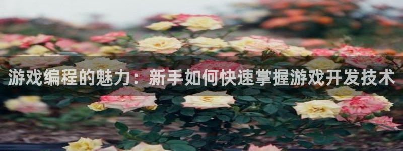 沐鸣娱乐2官方平台是什么：游戏编程的魅力：新手如何快速掌握游戏开发技术