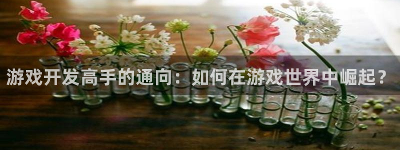 沐鸣2注册连接：游戏开发高手的通向：如何在游戏世界中崛起？