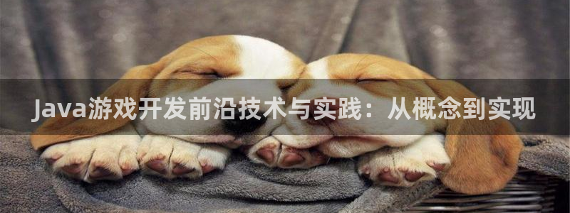 沐鸣娱乐2登录平台：Java游戏开发前沿技术与实践：从概念到实现