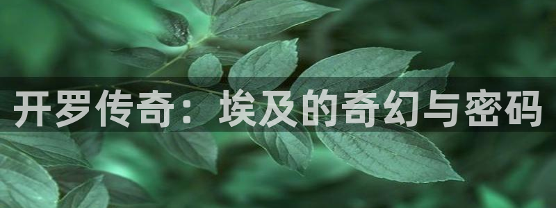 沐鸣2娱乐平台登录客服：开罗传奇：埃及的奇幻与密码