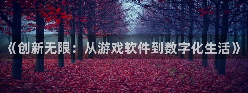 沐鸣娱乐2官方网站注册链接：《创新无限：从游戏软件到数字化生活》