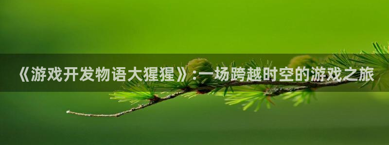 沐鸣娱乐2输钱了：《游戏开发物语大猩猩》:一场跨越时空的游戏之旅