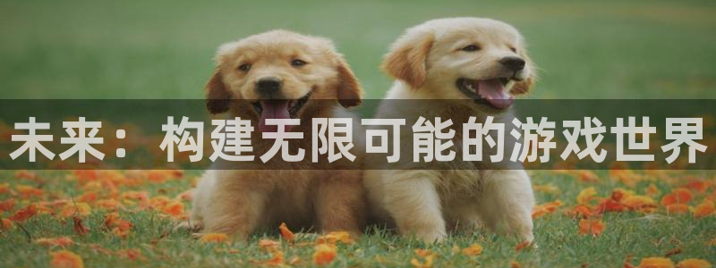 沐鸣娱乐2是干嘛的：未来：构建无限可能的游戏世界