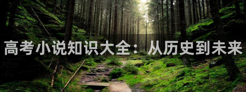 大劫主txt奇书网