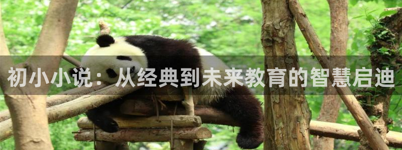 奇书网txt电子书入口