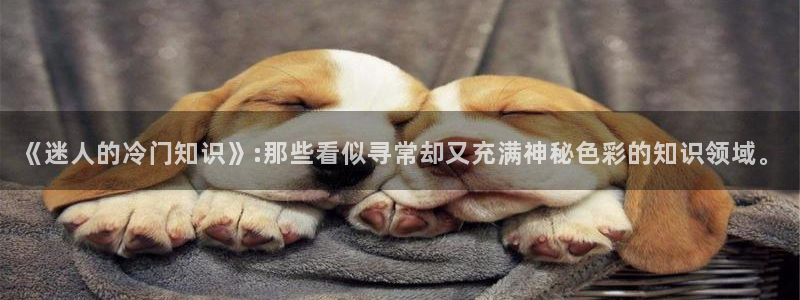 龙零txt奇书网